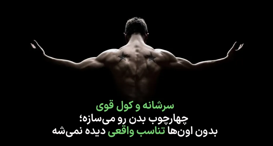 تمرین برای افزایش حجم سرشانه